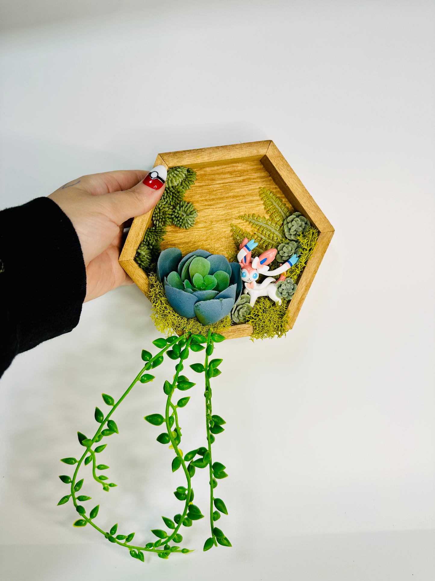 Wall Hangable Hexagon Terrariums