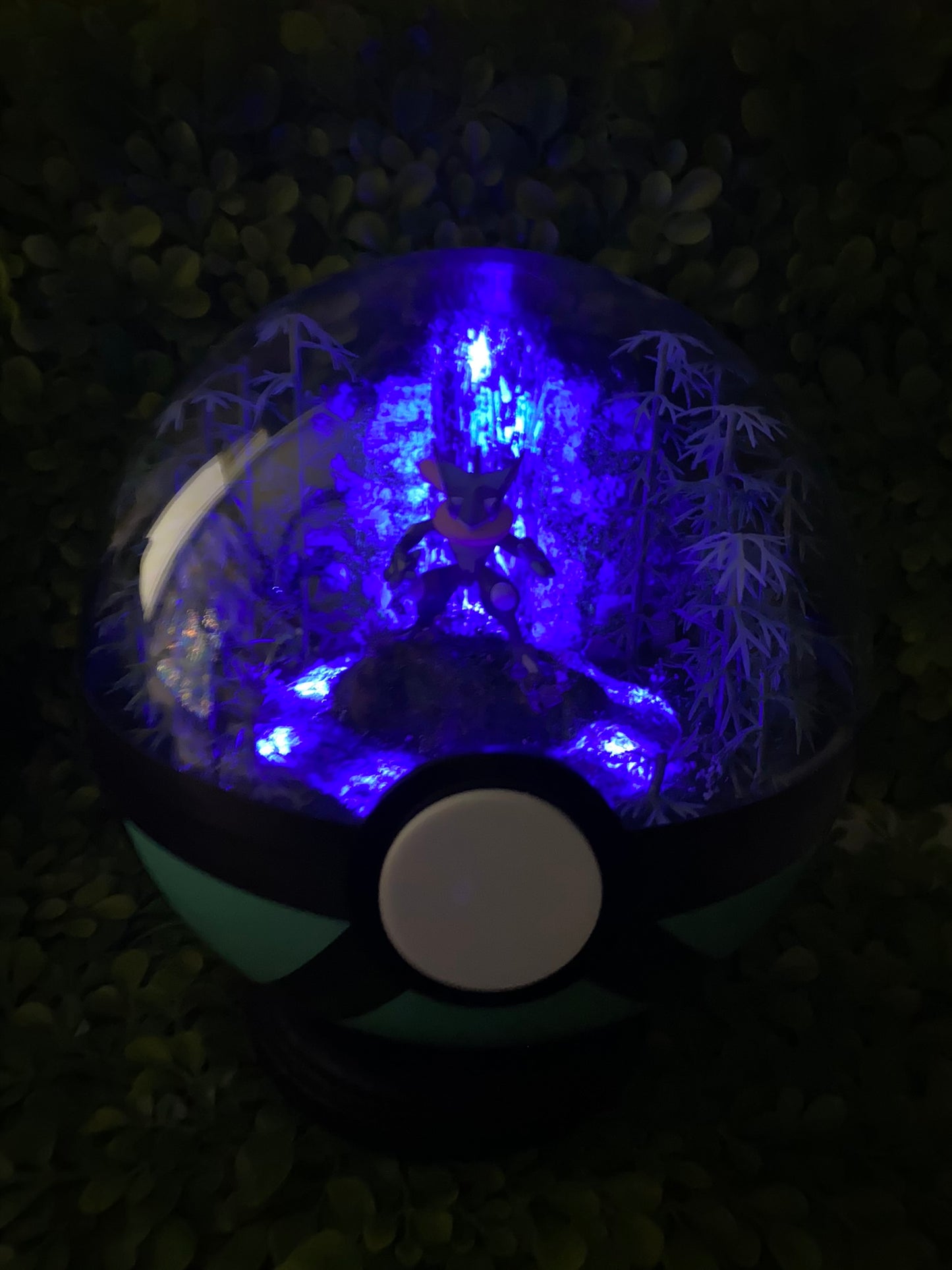 Lights