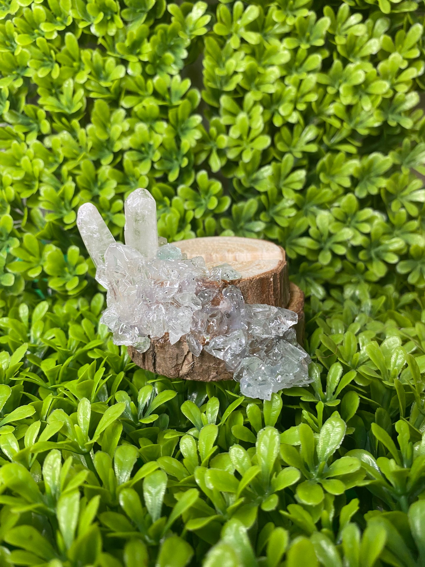 Slab Holder