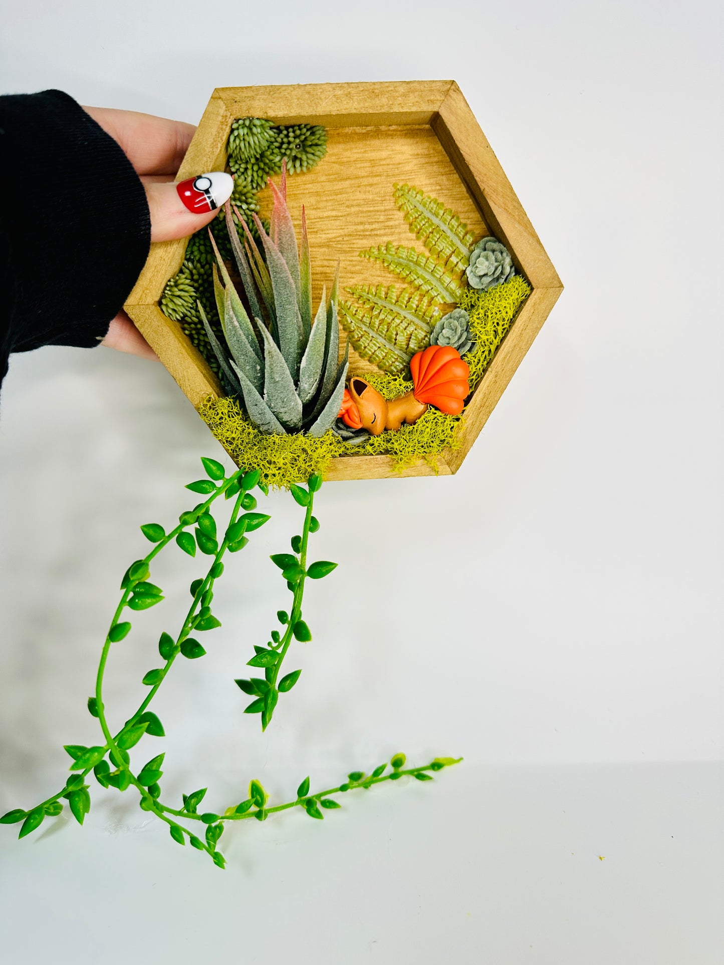 hexagon succulent planter Wall Hangable Hexagon Terrariums – PokePoke Designs