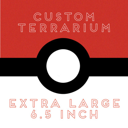 Custom 6.5 inch Terrarium
