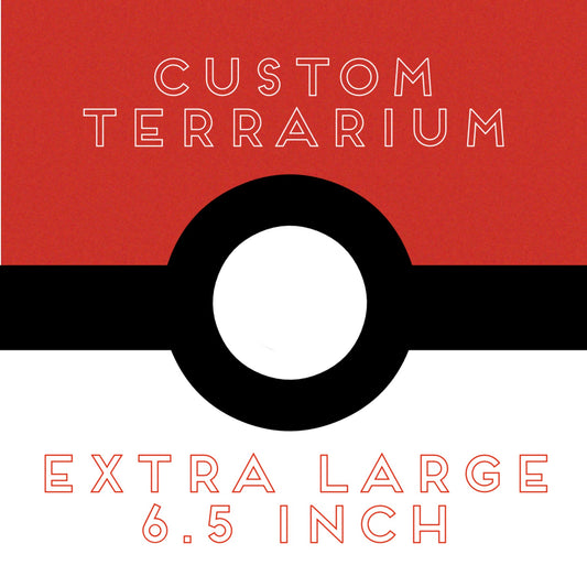 Custom 6.5 inch Terrarium