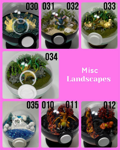 Poke Terrariums- Ships Next Day