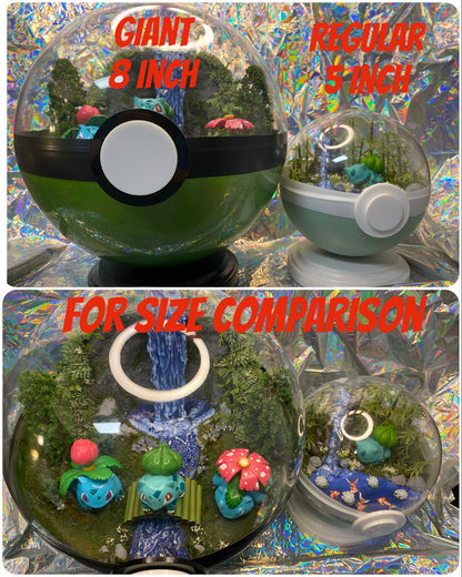 Custom 5 inch Terrarium