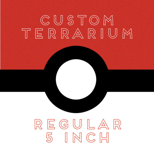 Custom 5 inch Terrarium